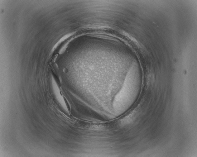 X0000081291306200701251643