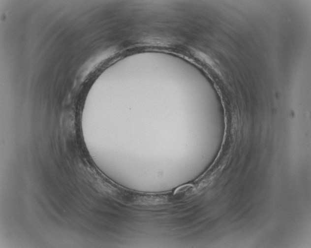 X0000081291307200701251643