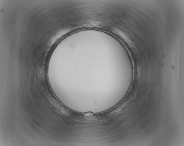 X0000081291308200701251643