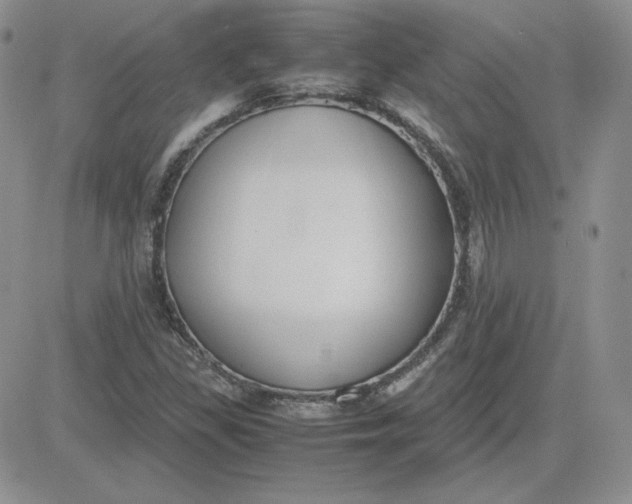 X0000081291309200701251643