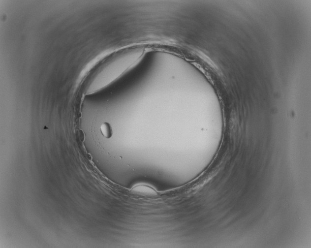 X0000081291310200701251643