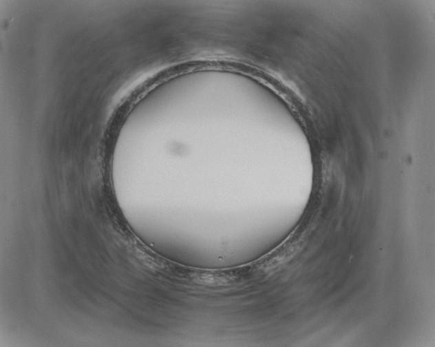 X0000081291311200701251643