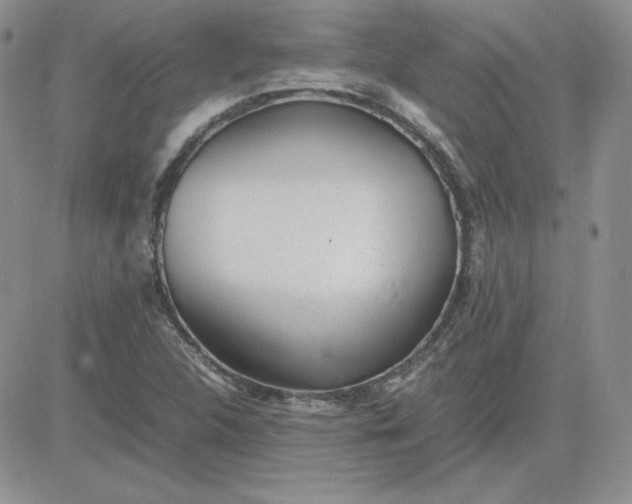 X0000081291312200701251643