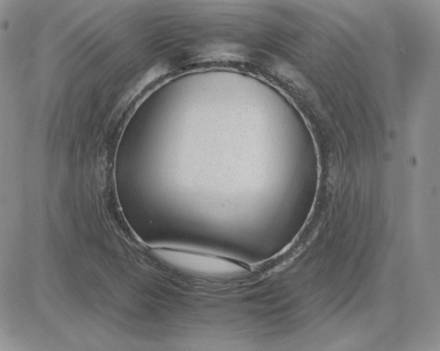 X0000081291313200701251643