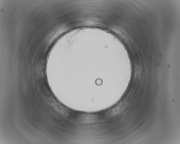 X0000081291314200701251643