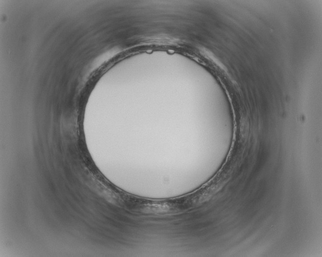 X0000081291315200701251643