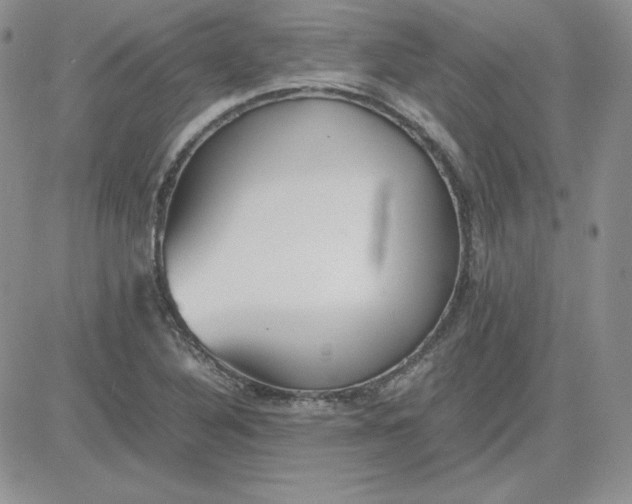 X0000081291316200701251643