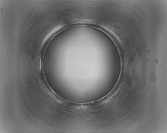 X0000081291317200701251643