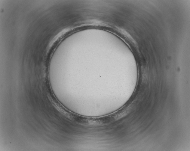 X0000081291318200701251643