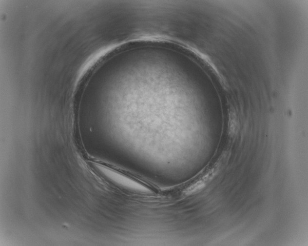 X0000081291319200701251643