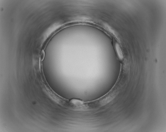 X0000081291320200701251643