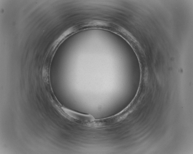 X0000081291321200701251643