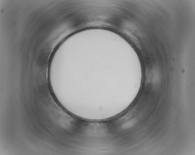 X0000081291322200701251643