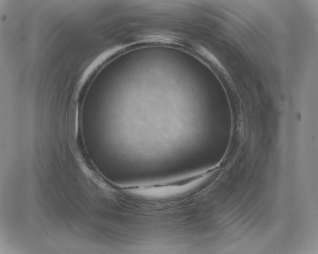 X0000081291323200701251643