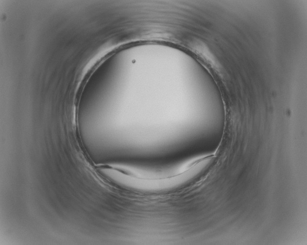 X0000081291324200701251643