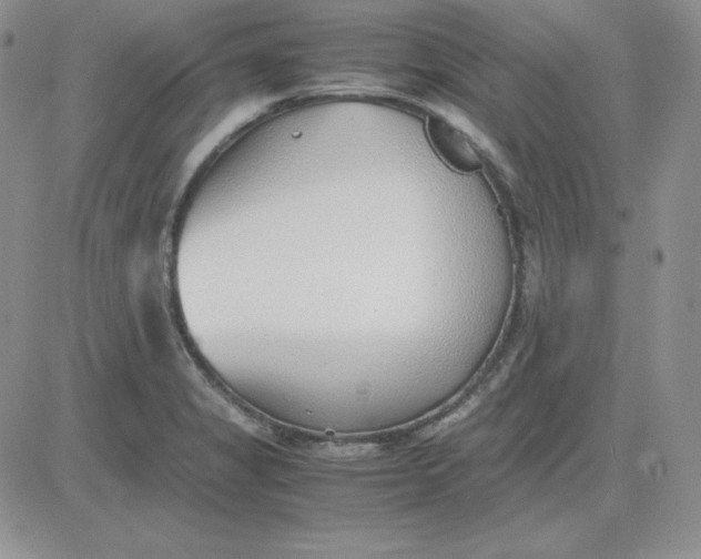 X0000081291325200701251643