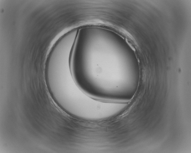 X0000081291326200701251643