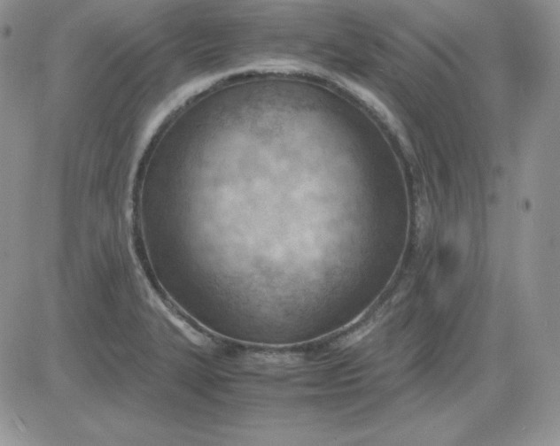 X0000081291327200701251643