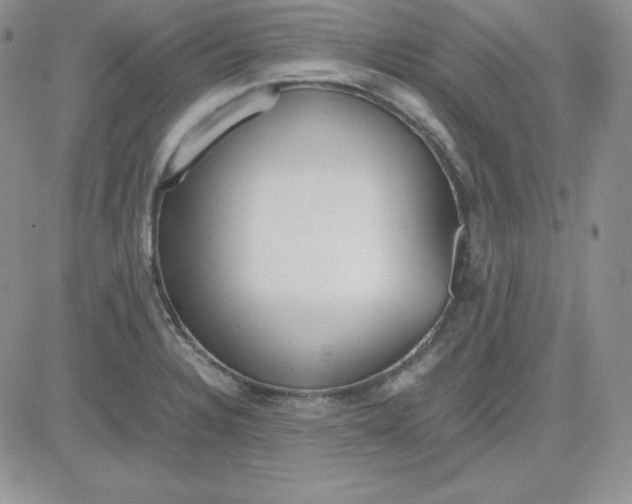 X0000081291328200701251643