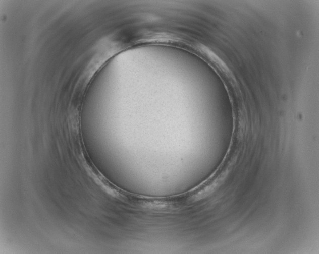 X0000081291329200701251643