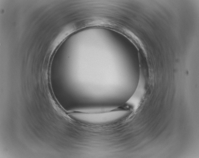 X0000081291330200701251643