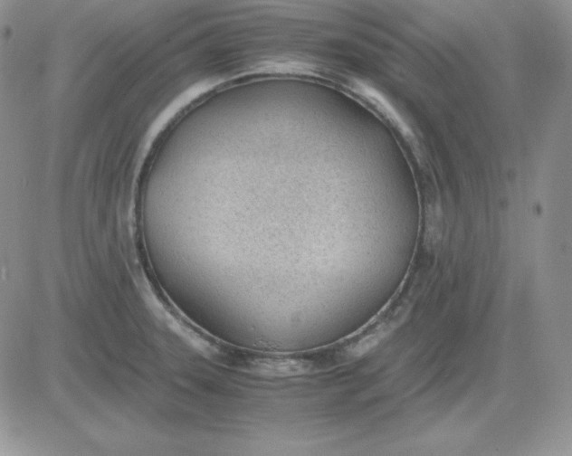 X0000081291331200701251643