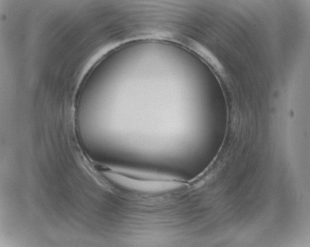 X0000081291332200701251643