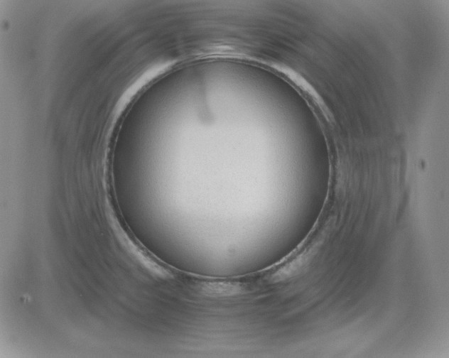 X0000081291333200701251643