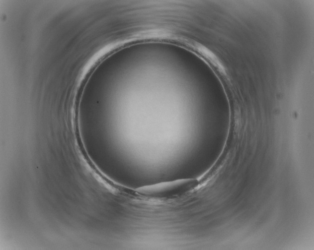 X0000081291334200701251643