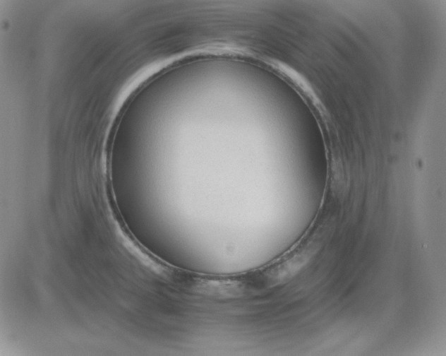 X0000081291335200701251643