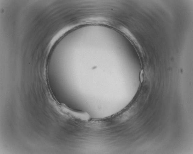 X0000081291336200701251643