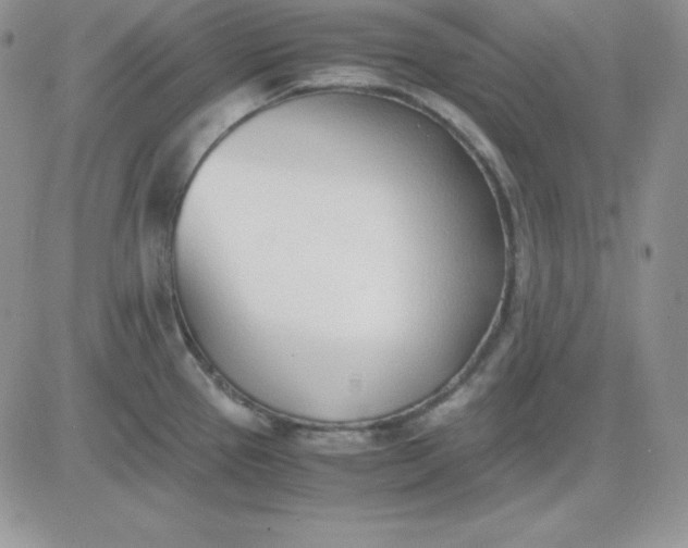 X0000081291337200701251643