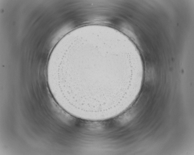 X0000081291338200701251643