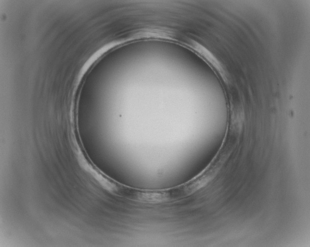 X0000081291339200701251643