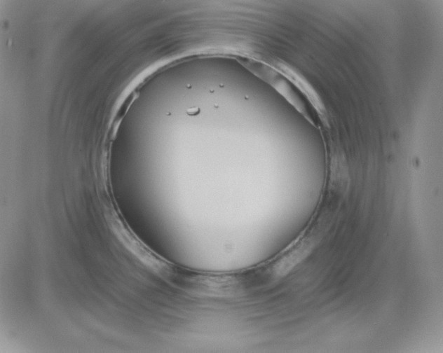 X0000081291340200701251643