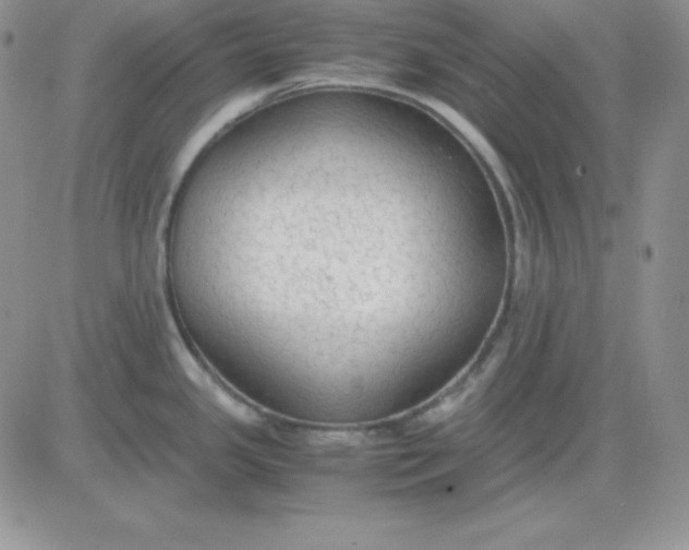 X0000081291341200701251643