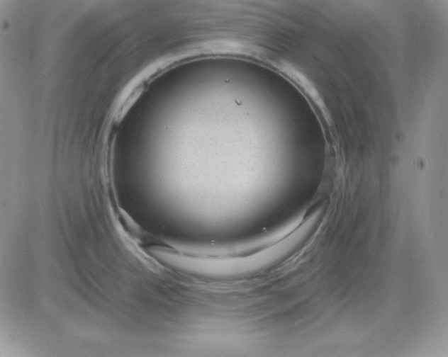 X0000081291342200701251643