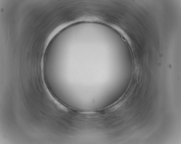 X0000081291343200701251643