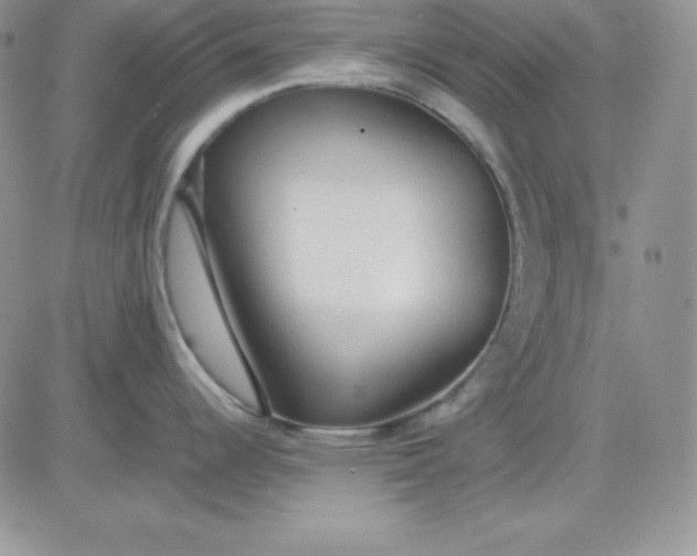 X0000081291344200701251643