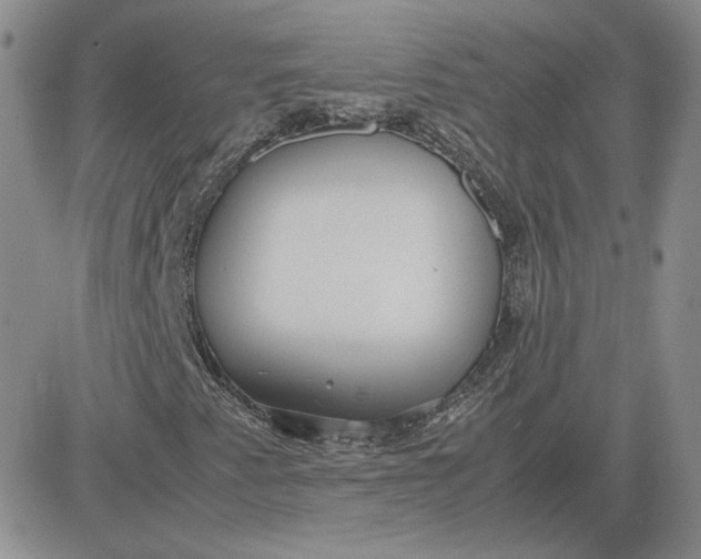 X0000081291345200701251643