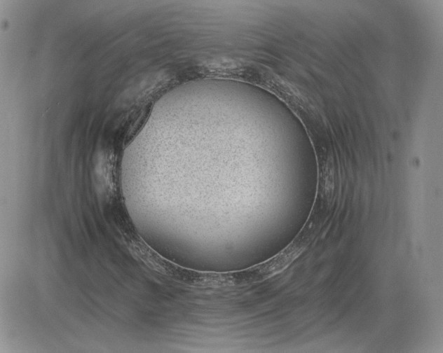 X0000081291346200701251642