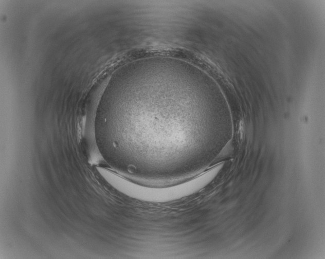 X0000081291348200701251642