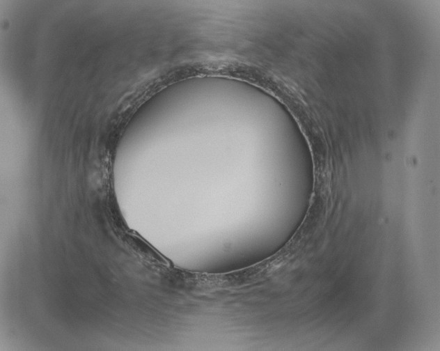 X0000081291349200701251642