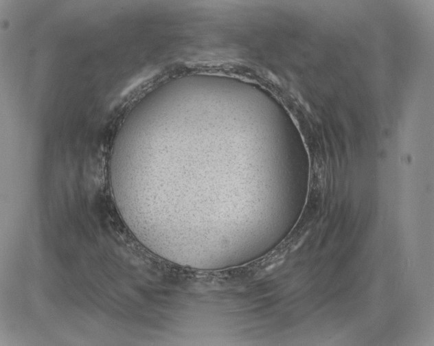 X0000081291350200701251642