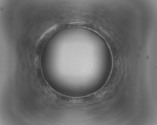 X0000081291351200701251642