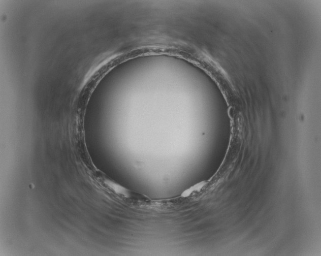 X0000081291352200701251642