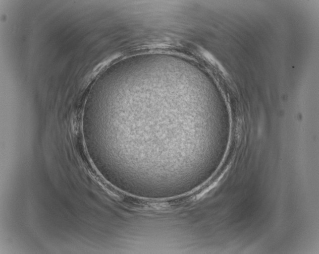 X0000081291353200701251642