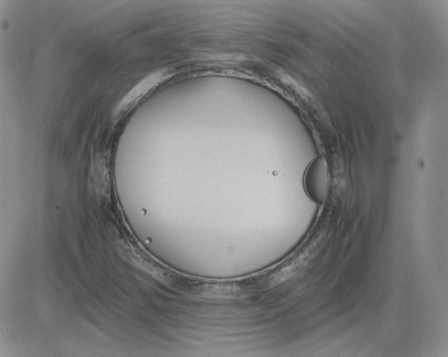 X0000081291354200701251642