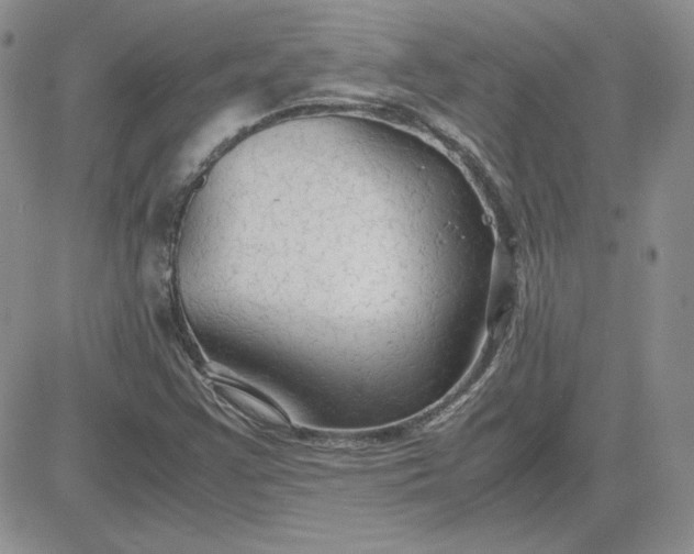 X0000081291355200701251642