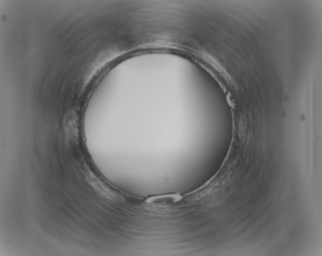 X0000081291356200701251642